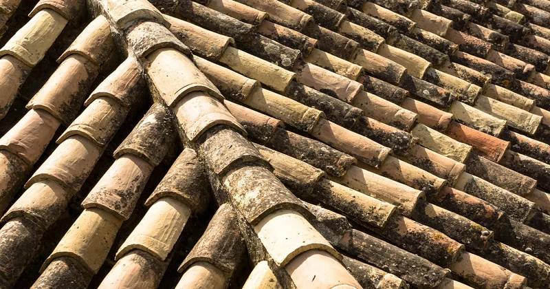 Combien ça coûte pour 50, 100, 140 ou 200 m² : exemples chiffrés